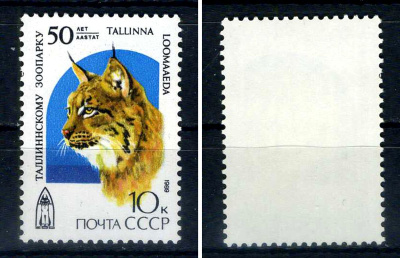 СССР марка 50 копеек 1989 50 лет Таллинскому зоопарку - рысь Загорский 6029    марка с оригинальным клеем, без следов наклейки (чистая) 8707-5-2-2